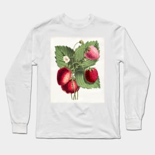 Hand Drawn Strawberry Long Sleeve T-Shirt